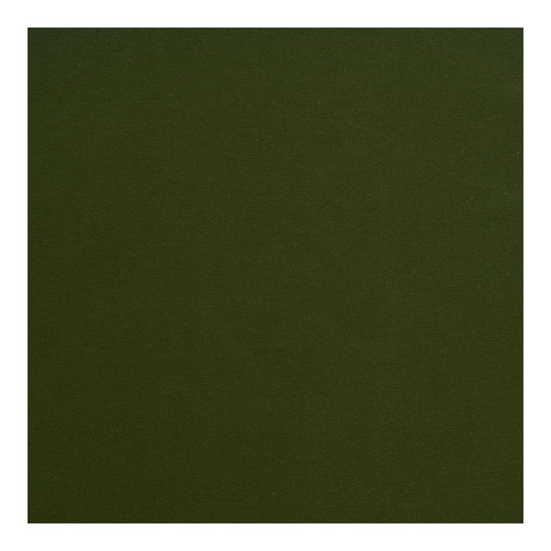 Rideau en polyester Turnervale, L 52 po x L 95 po, Olive