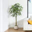 Adcock Artificial Ficus Tree with Round White Planter, Pre Potted Faux Money Tree for Home Decor-298643296