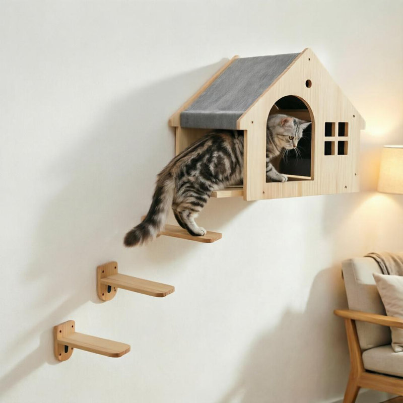 Marches d'escalade avec chat