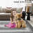 Brittan Washable Geometric Indoor Rug-472948504
