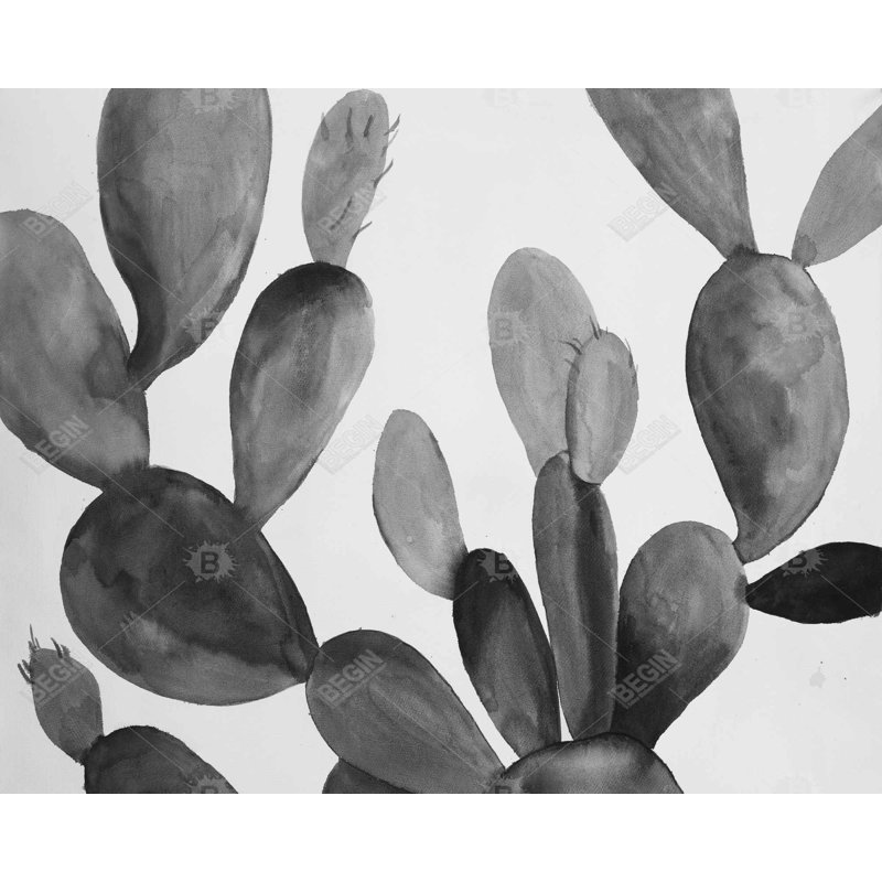 Cactus en niveaux de gris - imprimé floral encadré noir mat