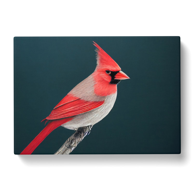Cardinal Bird Vol.1 - Wrapped Canvas