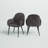 Giannone Tufted Side Chair in Dark Gray and Black (Set of 2)