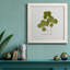 Toile encadrée pressée «Clover II» de qualité supérieure - prête à être accrochée-477127864-477127868