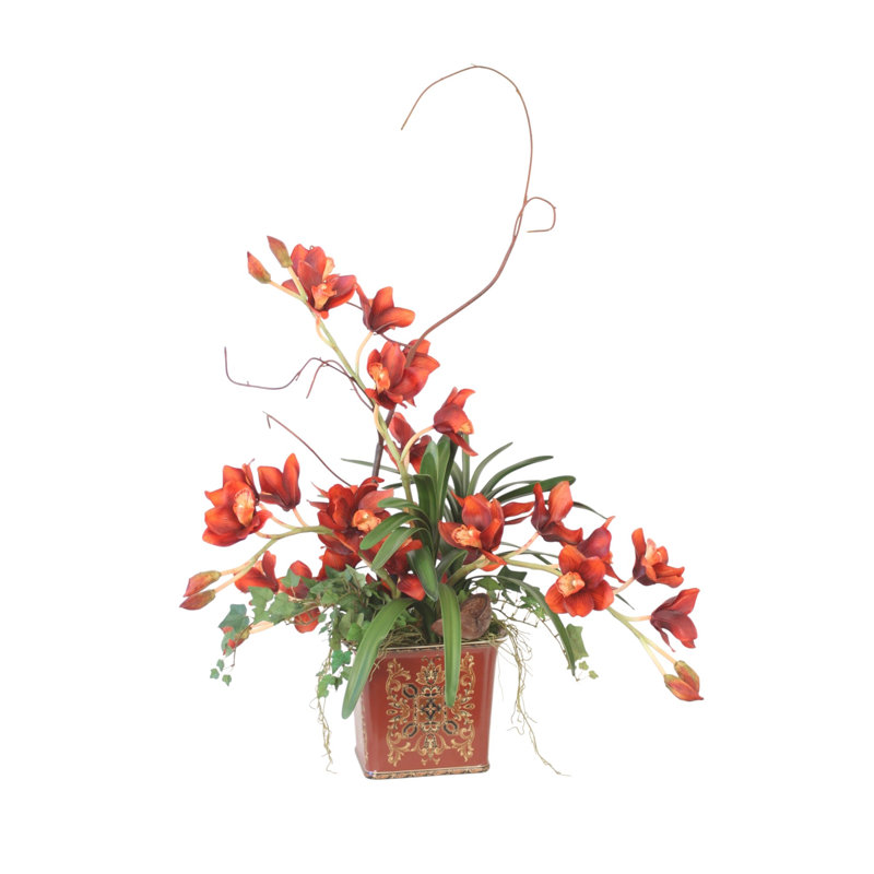 Rust Iris in Square Porcelain Planter