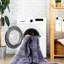 Tapis 9 x 12 po à poils courts, lavable à la machine, teint pour le salon, la chambre à coucher, la cuisine, la chambre anthracite, antidérapant et pour animaux de compagnie