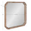 Vannessa Mirror-1233682624-1237043556