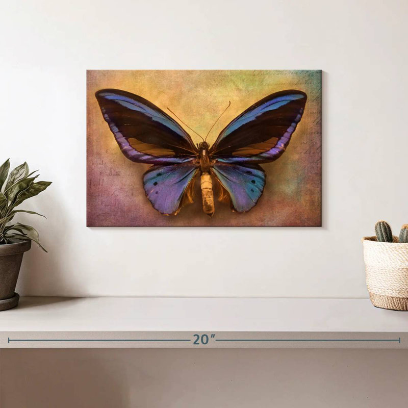 Papillon original, H 8 po x l 12 po