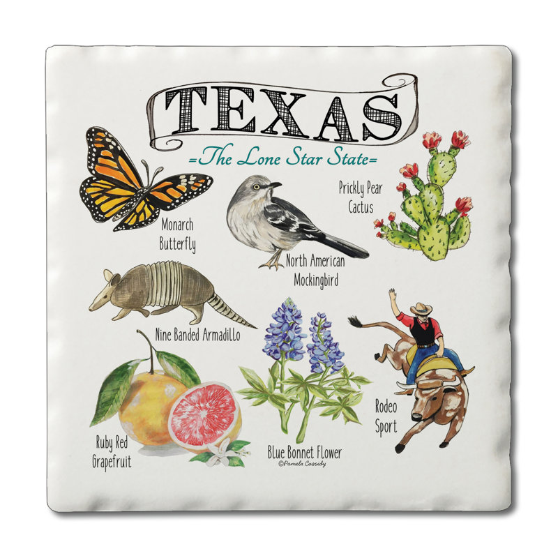 Ensemble de sous-verres August Grove® Texas State