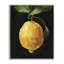 Art abstrait giclée au citron sur une vigne par Emma Caroline-1082170608-1082170621