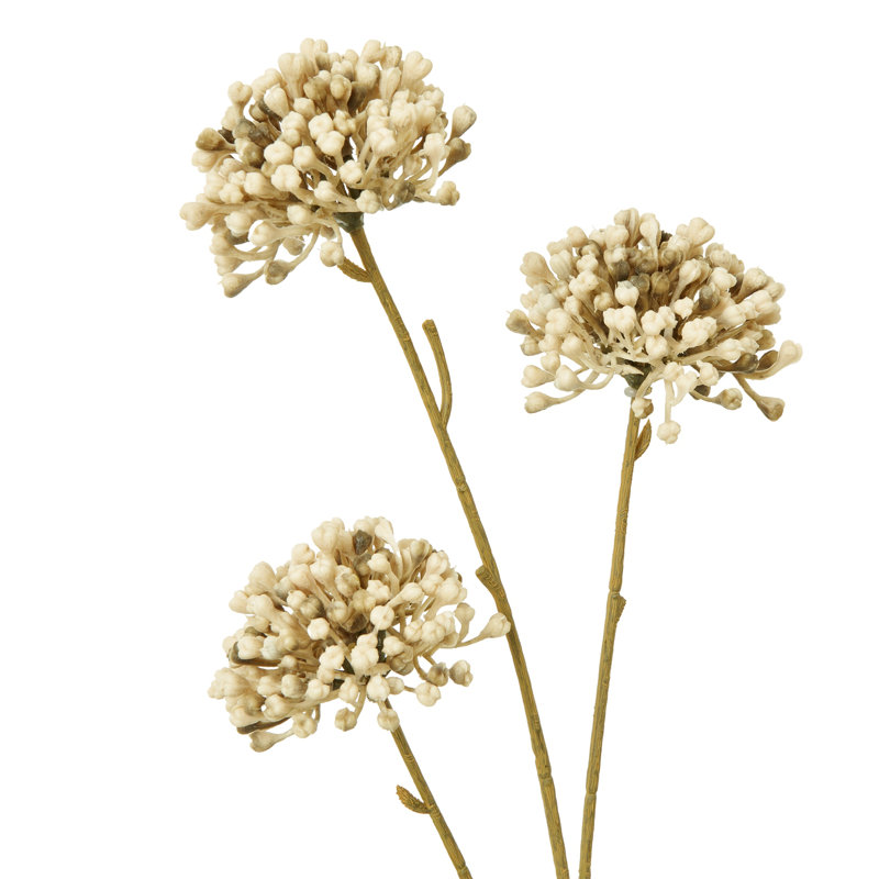 Arrangement, Brown