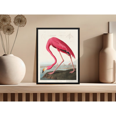 Condon Single Picture Frame Print