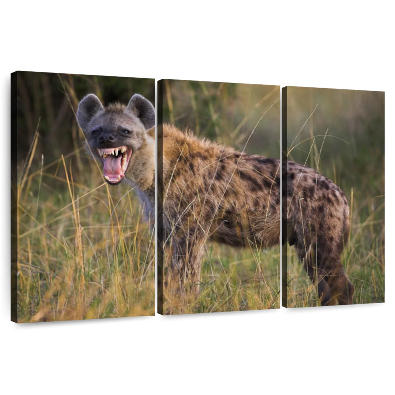 Growling Hyena, 24" H x 38" W