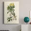 Olive Greenery IV - peinture sur toile tendue-530360623