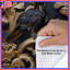 Housses de couette Ornate Birds Flourish-123420202