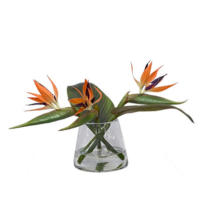 Oiseau de paradis dans un vase