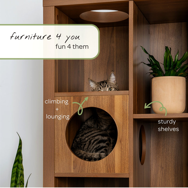Cliff Jr. Cat Tree Bookshelf, Walnut, Brown