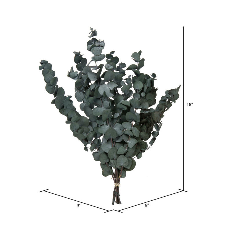 0.25'' Plant