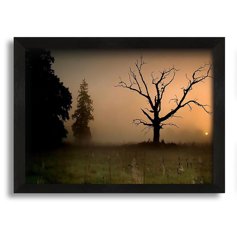 Ebern Designs Winter Tree In the Mist - Picture Frame Graphic Art on ...