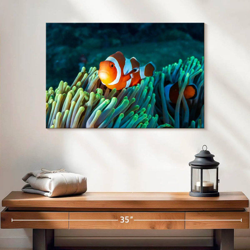 Poisson-clown Brampt