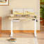Electric Standing Desk Wide Desktop Height Adjustable Standing Desk With Drawer&Hooks-229180457-229180461-229207507