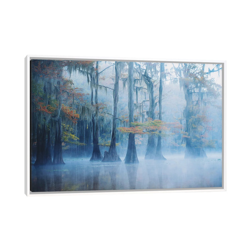 Foggy Swamp Morning 1 Piece Single Picture Frame and Floater Frame Wall Art on Canvas