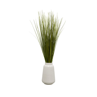32 po herbe en pot en céramique blanche