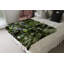 Dondrell Plain Weave / Muslin Throw Blanket