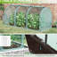 Cage de jardin 9 po x 4 pi avec 3 entrées à fermeture à glissière, compartiment de rangement, 6 piquets de sol, accès à la tente de protection