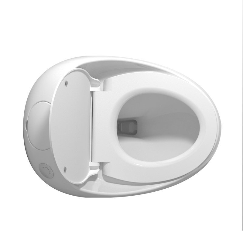 Toilette 1 pièce à chasse d'eau 1,28 GPF en blanc brillant