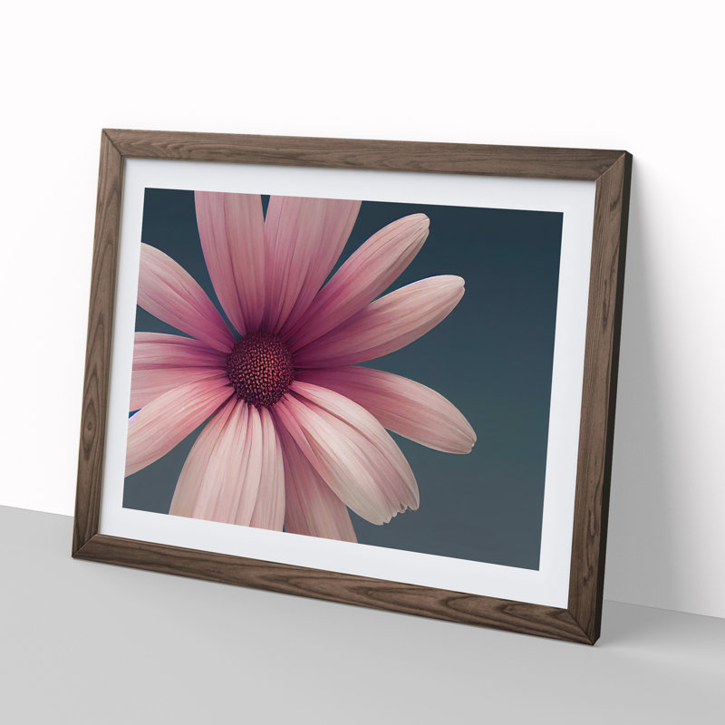Cute Daisy Flower - Framed Print, 46cm H x 64cm W x 2cm D, Walnut