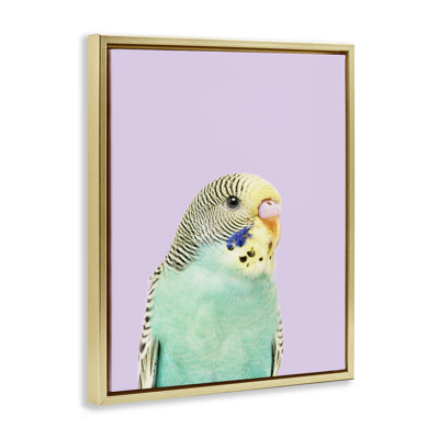 "Pastel Budgie Bird", art mural sur toile flottante par Sissi et Seb