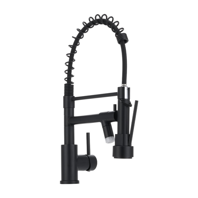 Belfry Kitchen Pull Out Kitchen Faucet, Black
