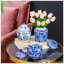 Ensemble de 3 pots à gingembre classiques en porcelaine bleue et blanche, parfaits pour la décoration et le rangement