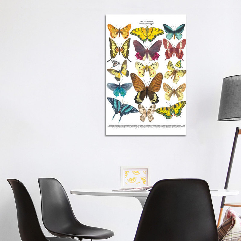 Butterflies by Michelle Campbell - Wrapped Canvas Print, 101.6 cm H x 66.04 cm W x 1.91 cm D