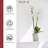 Pot Planter-75201448