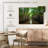 Everglade City Mangroves-261083642-261083641