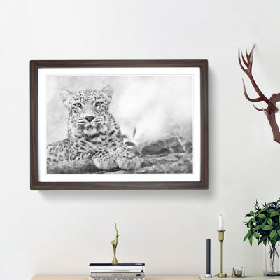 Leopard Resting - Picture Frame Photograph Print