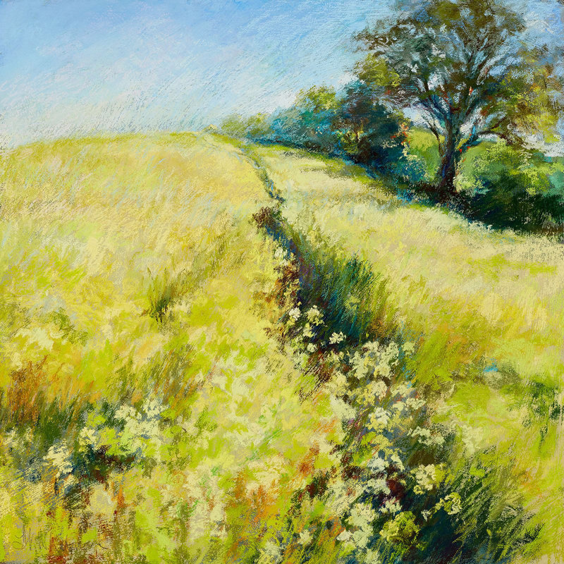 Fields Of Gold by Nel Whatmore - Wrapped Canvas Print, 70 cm H x 70 cm W