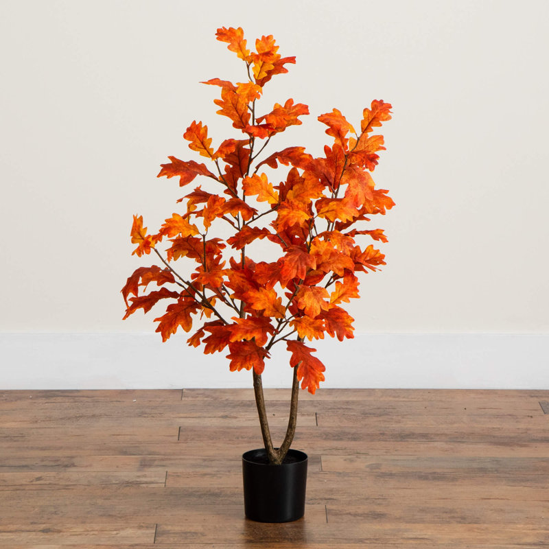 3 pi. Arbre d'automne
