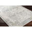 Machine Washable Traditionnal Boho Taupe Area Rug-989319582