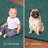 Mejias Washable Indoor Rug-768591759