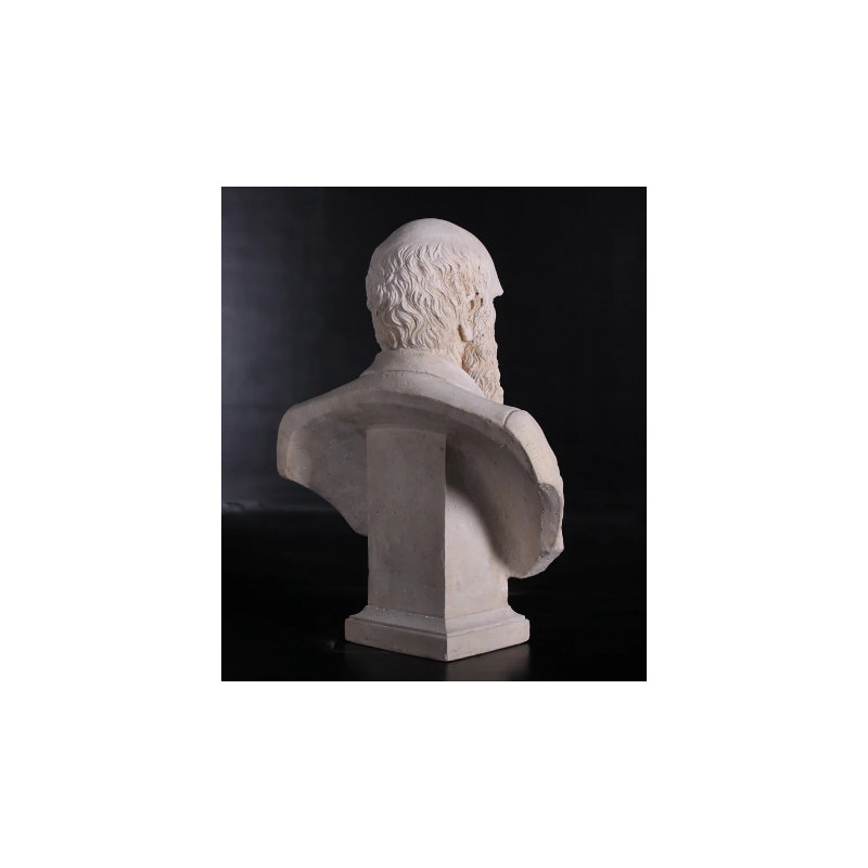 Statue buste Darwin