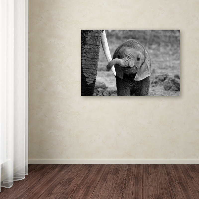 Close Black and White Elephant Canvas Art with Floater Frame