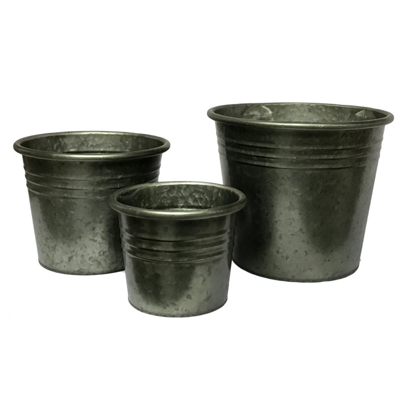Florie Metal Pot Planter