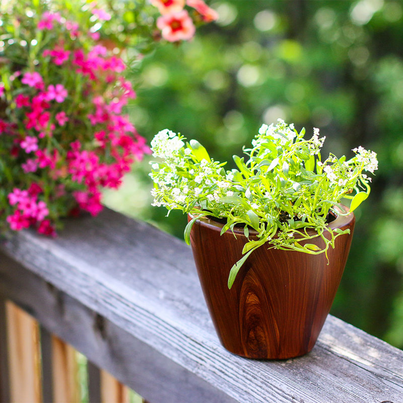 2-Pack 10 in. Light Wood Plastic Self-watering Planter Pot, Dark Brown