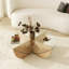 Sicario Coffee Table