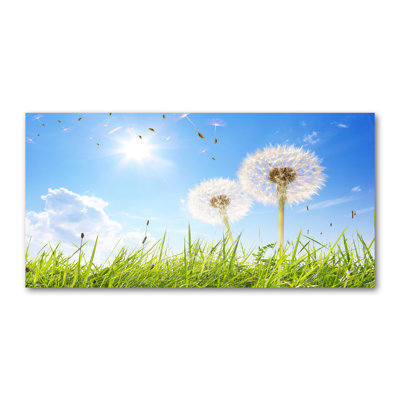 Dandelions - Wrapped Canvas Print