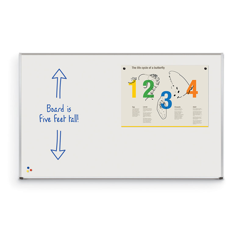 El Grande MooreCo Wall Whiteboard, 60" x 120"