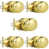 Polished Brass